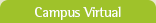 Campus Virtual