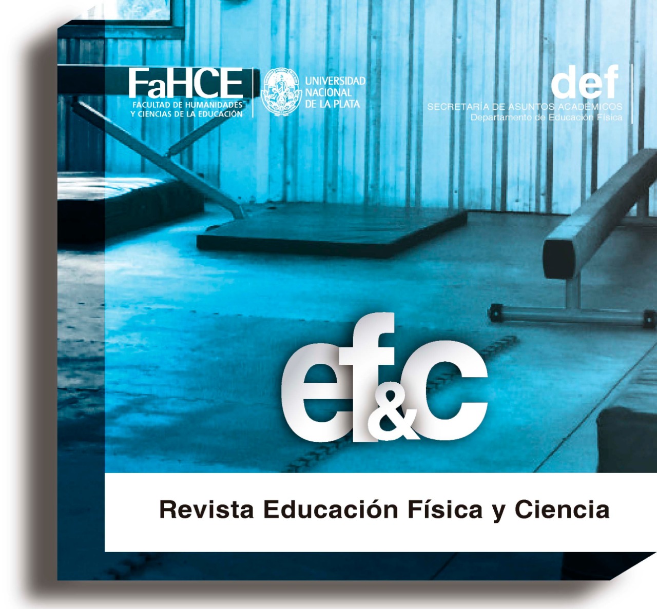 Revista efyc