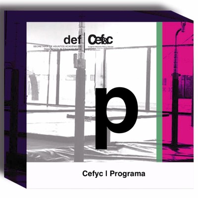 Cefyc2019_Programa